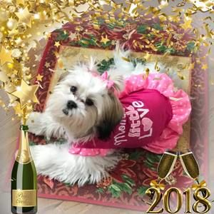 Meet your Posher, Daryl an sonia